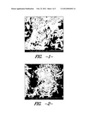 NUCLEATING AGENT AND THERMOPLASTIC COMPOSITIONS COMPRISING THE SAME diagram and image