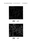 NUCLEATING AGENT AND THERMOPLASTIC COMPOSITIONS COMPRISING THE SAME diagram and image