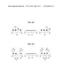 TOUCH SCREEN PANEL AND METHOD OF MANUFACTURING THE SAME diagram and image