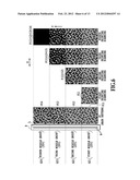 PRINTING APPARATUS AND PRINTING METHOD diagram and image