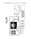 CUSTOMIZED INTRAOCULAR LENS POWER CALCULATION SYSTEM AND METHOD diagram and image