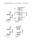 MicroRNAs In Idiopathic Pulmonary Fibrosis diagram and image
