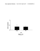 MicroRNAs In Idiopathic Pulmonary Fibrosis diagram and image