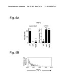 METHODS AND COMPOSITIONS FOR ISLET CELL PRESERVATION diagram and image