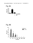 METHODS AND COMPOSITIONS FOR ISLET CELL PRESERVATION diagram and image