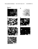 METHODS AND USES OF HYPOXIC COMPARTMENT CELLS diagram and image