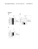 METHODS AND USES OF HYPOXIC COMPARTMENT CELLS diagram and image