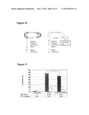 METHODS AND USES OF HYPOXIC COMPARTMENT CELLS diagram and image