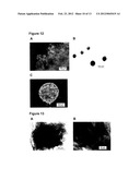 METHODS AND USES OF HYPOXIC COMPARTMENT CELLS diagram and image