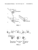 Methods and Agent for Modulating the RNA Polymerase II-Histone Surface diagram and image