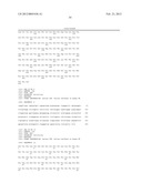 Humanized Anti-CD70 Binding Agents and Uses Thereof diagram and image