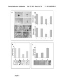 TUMOR MARKERS AND METHODS OF USE THEREOF diagram and image