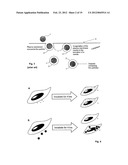 ANTI-CANCER MICROPARTICLE diagram and image