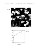 ANTI-CANCER MICROPARTICLE diagram and image