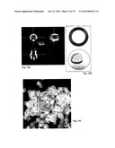 ANTI-CANCER MICROPARTICLE diagram and image