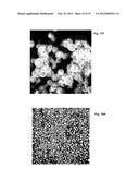ANTI-CANCER MICROPARTICLE diagram and image