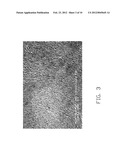 MARCO-SCALE CARBON NANOTUBE TUBE STRUCTURE diagram and image