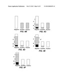 AUXILIARY ELECTRODES FOR ELECTROCHEMICAL CELLS CONTAINING HIGH CAPACITY     ACTIVE MATERIALS diagram and image