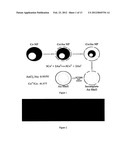 NOVEL GOLD NANOSTRUCTURES AND METHODS OF USE diagram and image