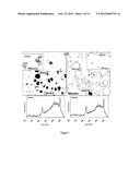 NOVEL GOLD NANOSTRUCTURES AND METHODS OF USE diagram and image