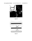 NOVEL GOLD NANOSTRUCTURES AND METHODS OF USE diagram and image