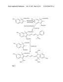 Methods for detecting nucleic acid hybridization diagram and image