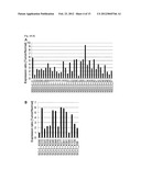 JARID1B FOR TARGET GENE OF CANCER THERAPY AND DIAGNOSIS diagram and image