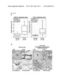 JARID1B FOR TARGET GENE OF CANCER THERAPY AND DIAGNOSIS diagram and image