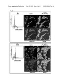 JARID1B FOR TARGET GENE OF CANCER THERAPY AND DIAGNOSIS diagram and image