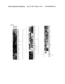 JARID1B FOR TARGET GENE OF CANCER THERAPY AND DIAGNOSIS diagram and image