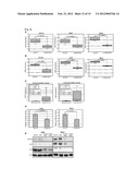 JARID1B FOR TARGET GENE OF CANCER THERAPY AND DIAGNOSIS diagram and image