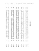 NOVEL GENES ENCODING PROTEINS HAVING PROGNOSTIC, DIAGNOSTIC, PREVENTIVE,     THERAPEUTIC, AND OTHER USES diagram and image