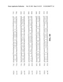 NOVEL GENES ENCODING PROTEINS HAVING PROGNOSTIC, DIAGNOSTIC, PREVENTIVE,     THERAPEUTIC, AND OTHER USES diagram and image