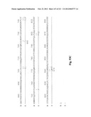 NOVEL GENES ENCODING PROTEINS HAVING PROGNOSTIC, DIAGNOSTIC, PREVENTIVE,     THERAPEUTIC, AND OTHER USES diagram and image