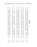 NOVEL GENES ENCODING PROTEINS HAVING PROGNOSTIC, DIAGNOSTIC, PREVENTIVE,     THERAPEUTIC, AND OTHER USES diagram and image