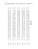 NOVEL GENES ENCODING PROTEINS HAVING PROGNOSTIC, DIAGNOSTIC, PREVENTIVE,     THERAPEUTIC, AND OTHER USES diagram and image