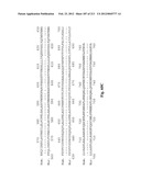 NOVEL GENES ENCODING PROTEINS HAVING PROGNOSTIC, DIAGNOSTIC, PREVENTIVE,     THERAPEUTIC, AND OTHER USES diagram and image