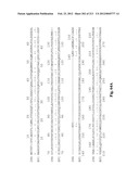 NOVEL GENES ENCODING PROTEINS HAVING PROGNOSTIC, DIAGNOSTIC, PREVENTIVE,     THERAPEUTIC, AND OTHER USES diagram and image