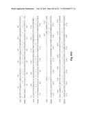 NOVEL GENES ENCODING PROTEINS HAVING PROGNOSTIC, DIAGNOSTIC, PREVENTIVE,     THERAPEUTIC, AND OTHER USES diagram and image