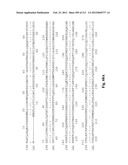 NOVEL GENES ENCODING PROTEINS HAVING PROGNOSTIC, DIAGNOSTIC, PREVENTIVE,     THERAPEUTIC, AND OTHER USES diagram and image