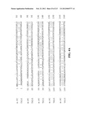 NOVEL GENES ENCODING PROTEINS HAVING PROGNOSTIC, DIAGNOSTIC, PREVENTIVE,     THERAPEUTIC, AND OTHER USES diagram and image