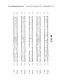 NOVEL GENES ENCODING PROTEINS HAVING PROGNOSTIC, DIAGNOSTIC, PREVENTIVE,     THERAPEUTIC, AND OTHER USES diagram and image