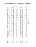 NOVEL GENES ENCODING PROTEINS HAVING PROGNOSTIC, DIAGNOSTIC, PREVENTIVE,     THERAPEUTIC, AND OTHER USES diagram and image