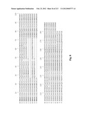 NOVEL GENES ENCODING PROTEINS HAVING PROGNOSTIC, DIAGNOSTIC, PREVENTIVE,     THERAPEUTIC, AND OTHER USES diagram and image