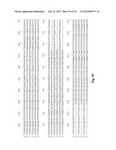 NOVEL GENES ENCODING PROTEINS HAVING PROGNOSTIC, DIAGNOSTIC, PREVENTIVE,     THERAPEUTIC, AND OTHER USES diagram and image