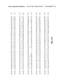 NOVEL GENES ENCODING PROTEINS HAVING PROGNOSTIC, DIAGNOSTIC, PREVENTIVE,     THERAPEUTIC, AND OTHER USES diagram and image