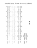 NOVEL GENES ENCODING PROTEINS HAVING PROGNOSTIC, DIAGNOSTIC, PREVENTIVE,     THERAPEUTIC, AND OTHER USES diagram and image