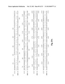 NOVEL GENES ENCODING PROTEINS HAVING PROGNOSTIC, DIAGNOSTIC, PREVENTIVE,     THERAPEUTIC, AND OTHER USES diagram and image