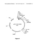 Compositions And Methods Comprising Alpha-Amylase Variants With Altered     Properties diagram and image