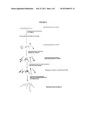 METHODS AND SYSTEMS FOR SOLUTION BASED SEQUENCE ENRICHMENT diagram and image